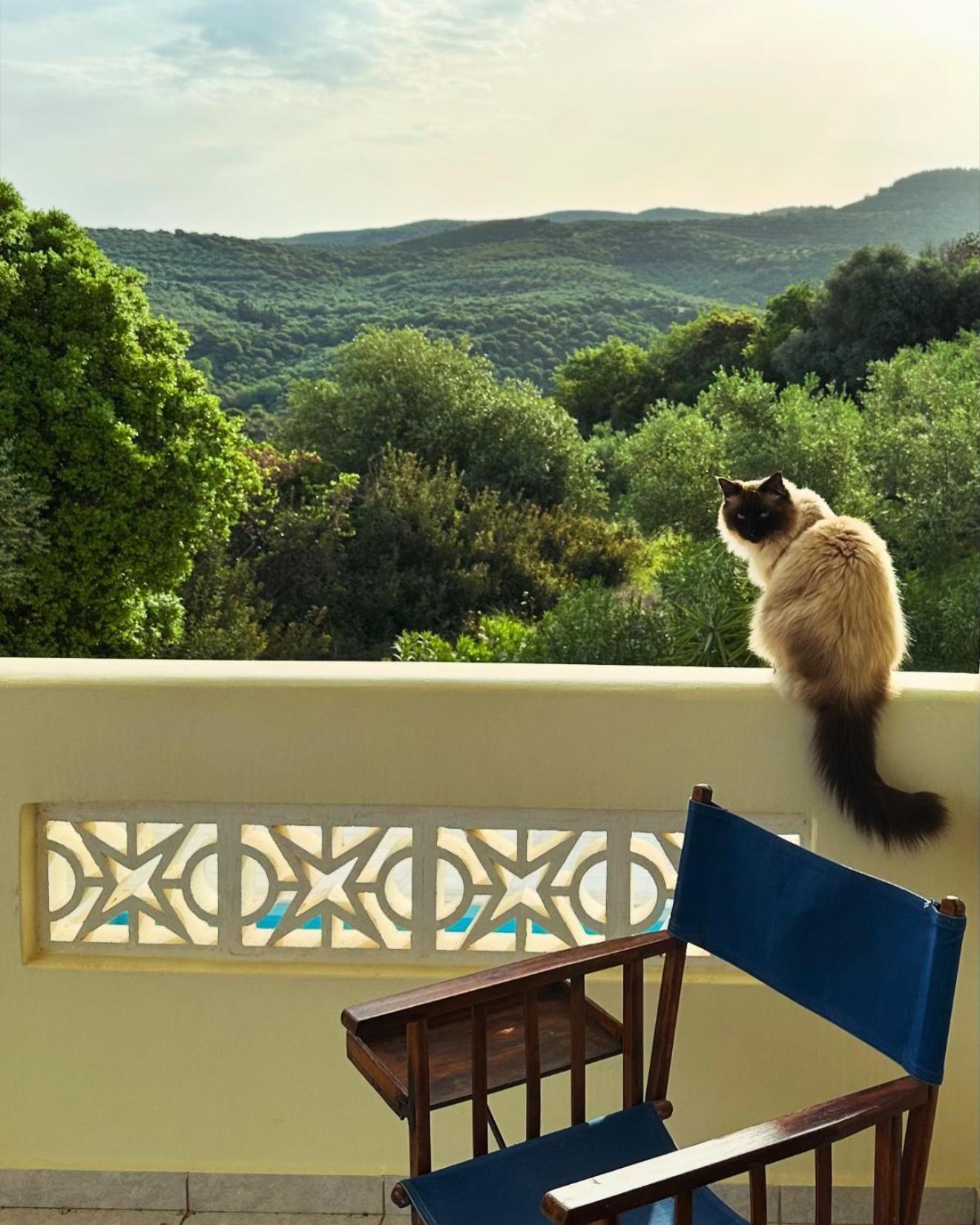 فيلا Kyparissia De Wandelboom Vrises  المظهر الخارجي الصورة